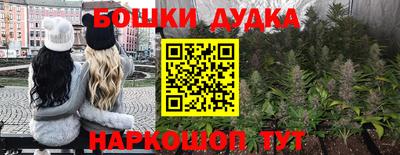 шишки Гагарин