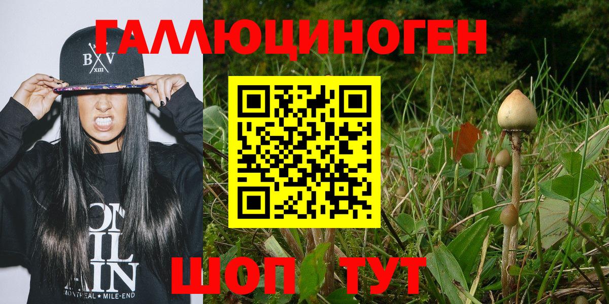 Кемерово  Галлюциногенные грибы Cubensis  Вход с VPN  наркотики  Галлюциногенные грибы MAGIC MUSHROOMS 