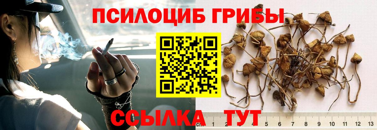 Псилоцибиновые грибы ЛСД Кемерово